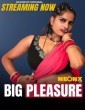 Big Pleasure (2025) NeonX Hindi Hot Short Film