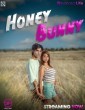 Honey Bunny (2025) NavaRasa Hindi Hot Short Film